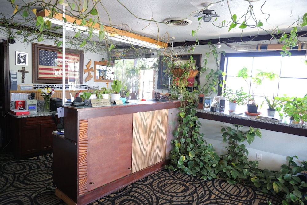 Purple Sage Motel - photo 5