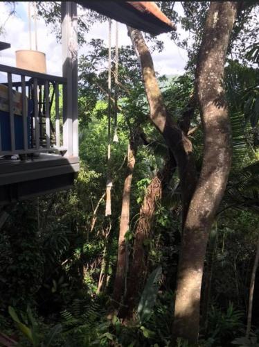 Mossman Gorge Bed and Breakfast — Mossman — photo 5