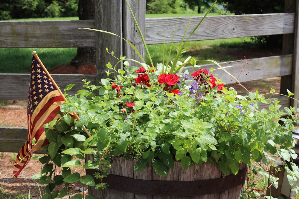 Antietam Overlook Farm - photo 41