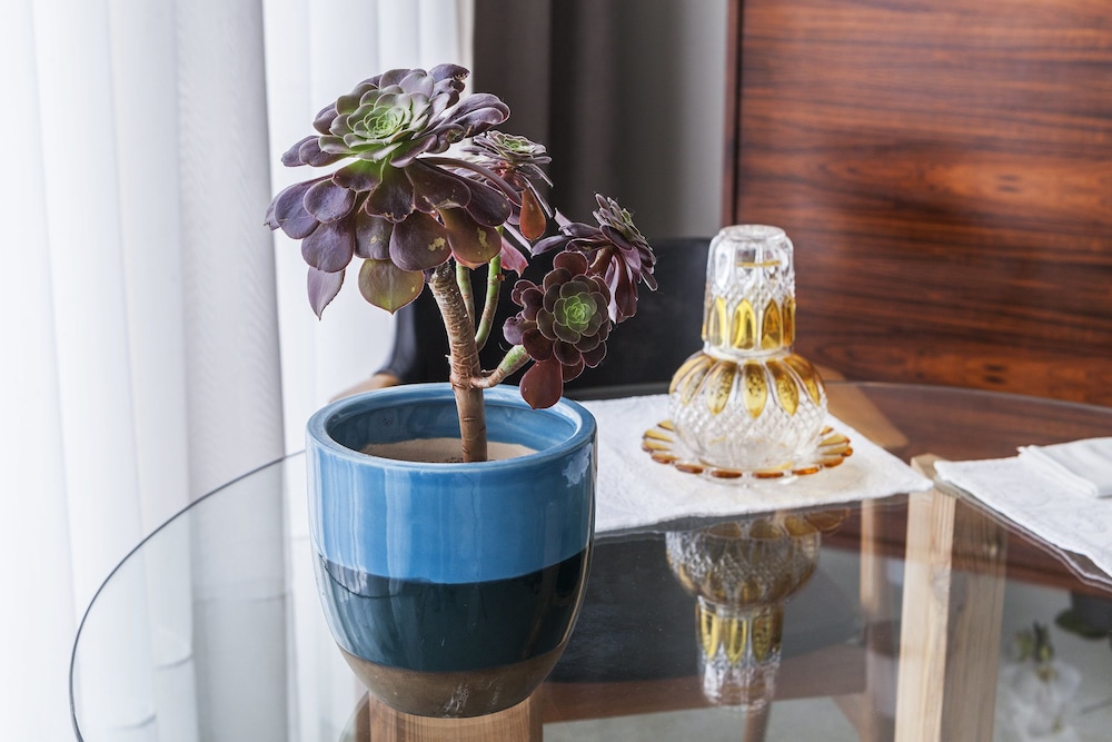 Villa Lóios By Casa do Conto — 4-Star Luxury Hotel in Porto, Portugal