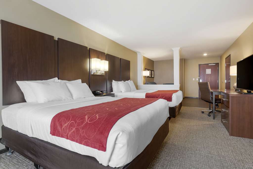 Comfort Suites and Conference Center - photo 8