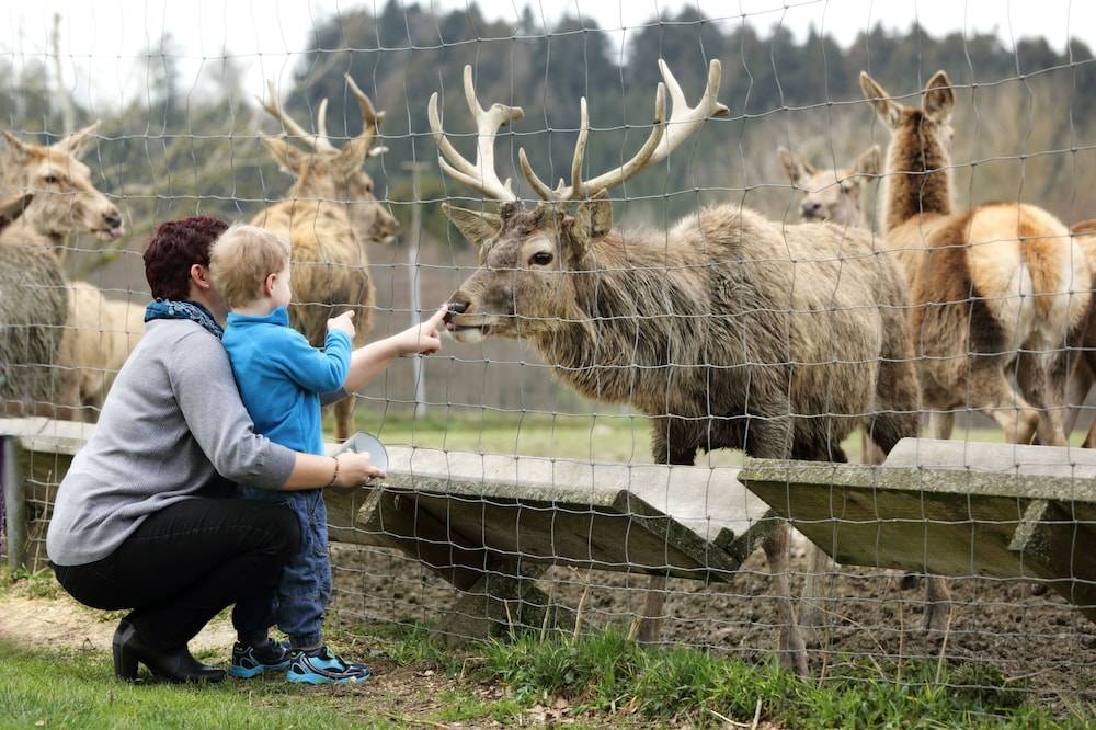 Children's activities