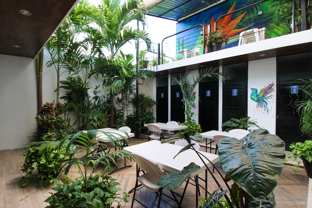 Rooftop terrace