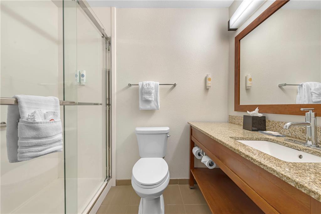 Comfort Inn & Suites Carbondale on the Roaring Fork - photo 24