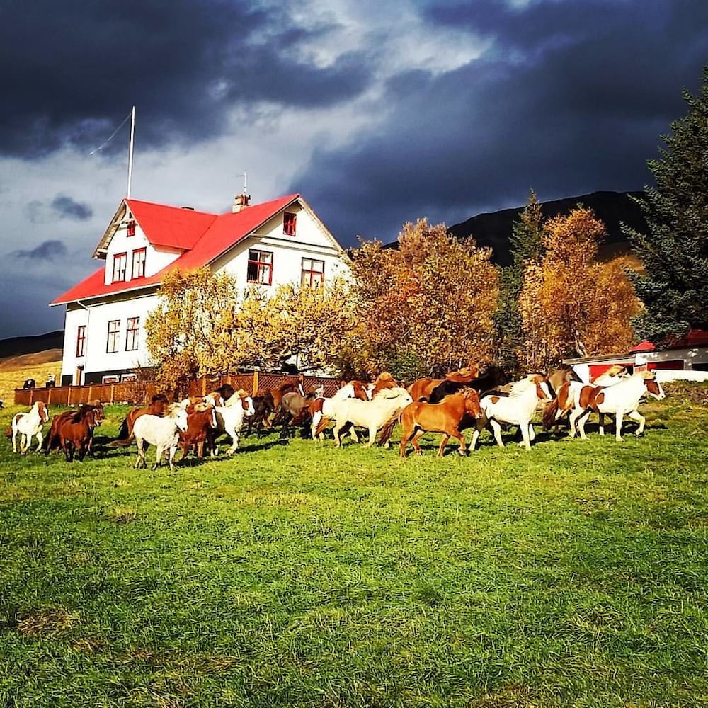 Ferðaþjónustan Geitaskarði Blonduos in Unknown City, Iceland