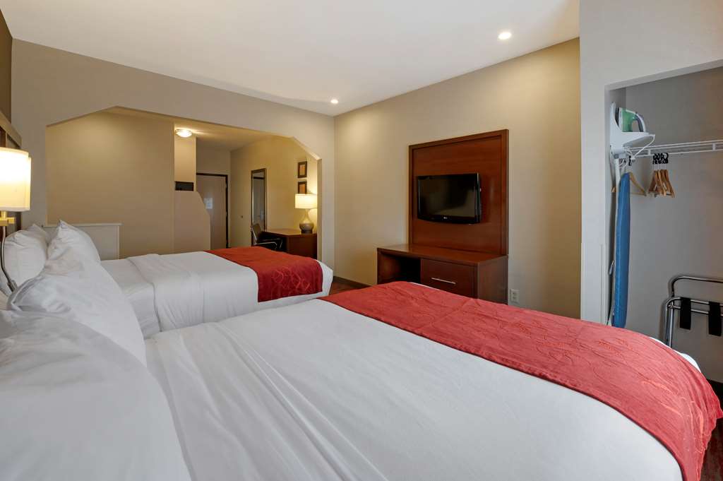 Comfort Suites Columbus Expo Center - photo 12