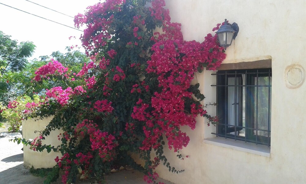 Petra & Elia - last minute hotel in Souda