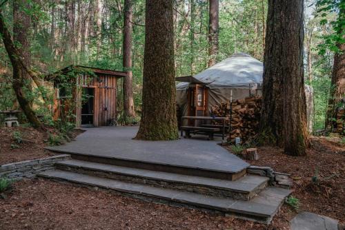 Your private Yurt in the woods Nevada City — hotel in Nevada