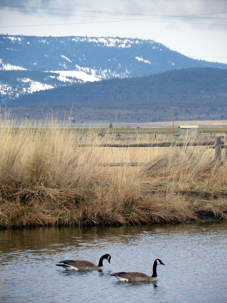 Hunters Hot Springs Resort - photo 10