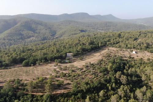 Cabanon Provencal - last minute hotel in Cuers