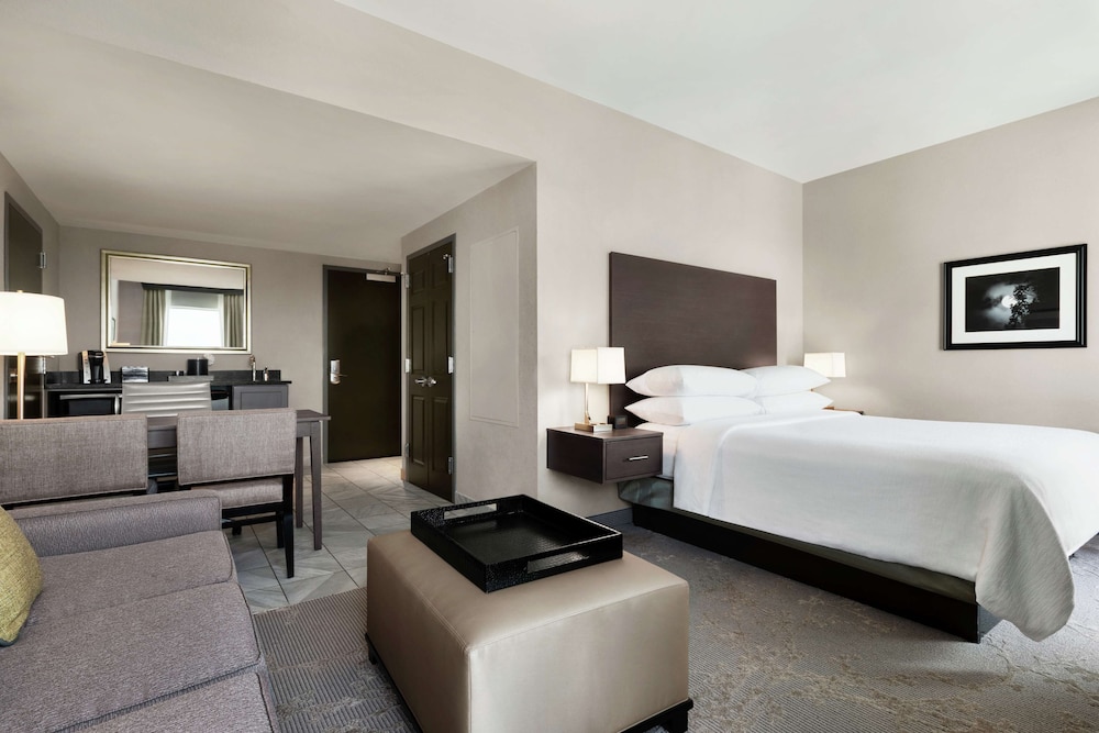 Embassy Suites by Hilton Charlotte Ayrsley - photo 33