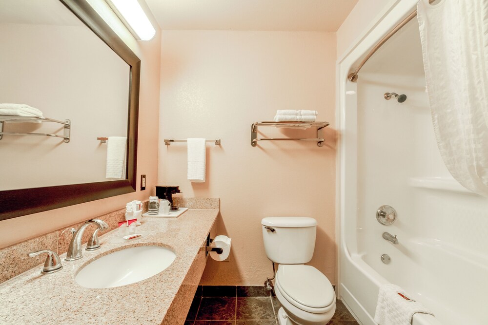 Texan Inn By Oyo Beeville Us 181 - photo 56