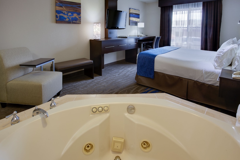 Holiday Inn Express Hotel & Suites Meadowlands Area by IHG - photo 11