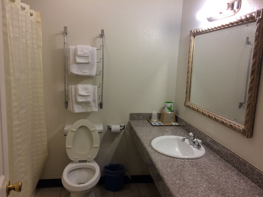 Country Regency Inn & Suites - photo 41
