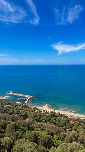 Belvedere — Pisciotta