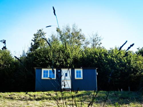 Oak Shepherds Hut - carbon neutral hotel in Unknown City