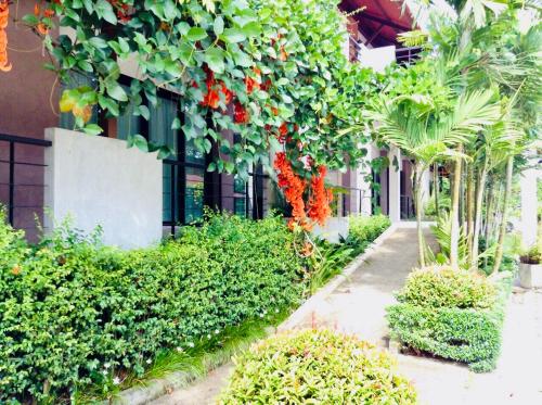 Wassana Sitdharma Guesthouse — Sawi — photo 2