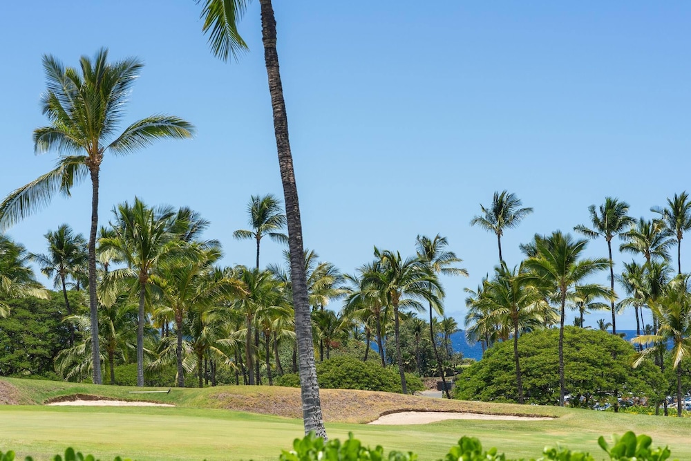The Shores 5 at the Waikoloa Beach Resort - photo 43