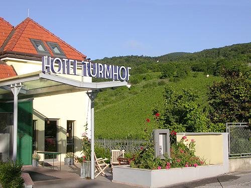 Hotel Turmhof — hotel in Gumpoldskirchen