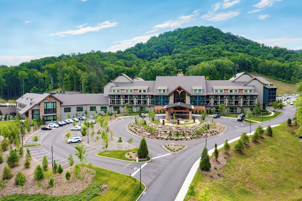 HeartSong Lodge & Resort - photo 111