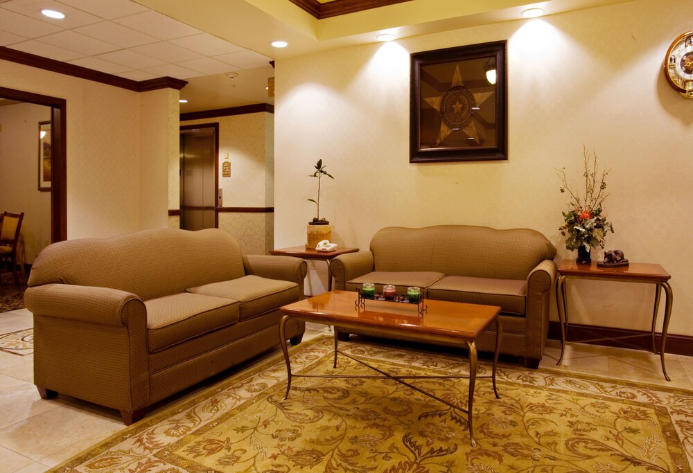 Holiday Inn Express & Suites Levelland by IHG - photo 27