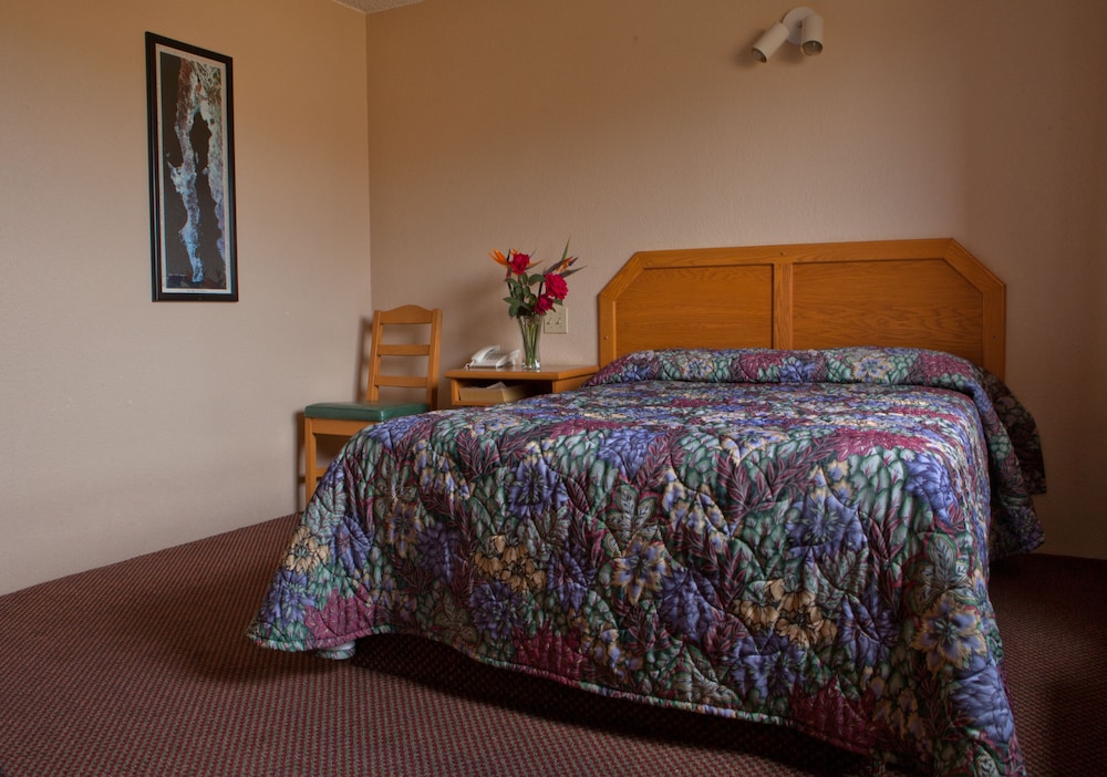 Hotel La Villa de San Quintin — San Quintin — photo 5