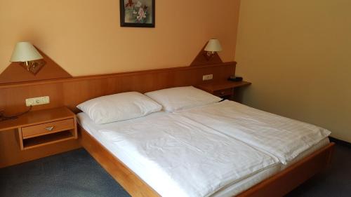 Hotel Geier — Bad Schoenau — photo 5