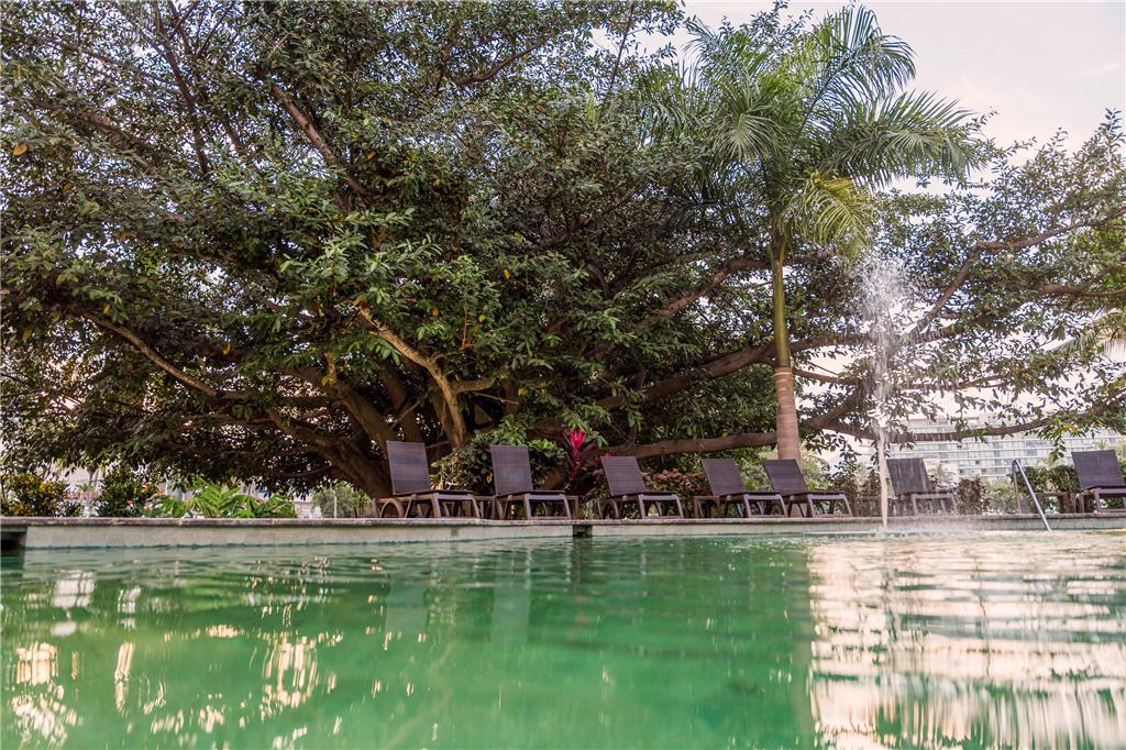 Pool view