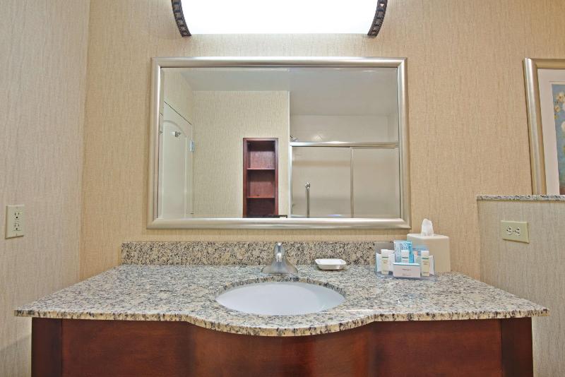 Hampton Inn by Hilton Gainesville Haymarket - photo 14