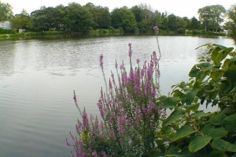 Walden on the Pond Hotel - photo 30