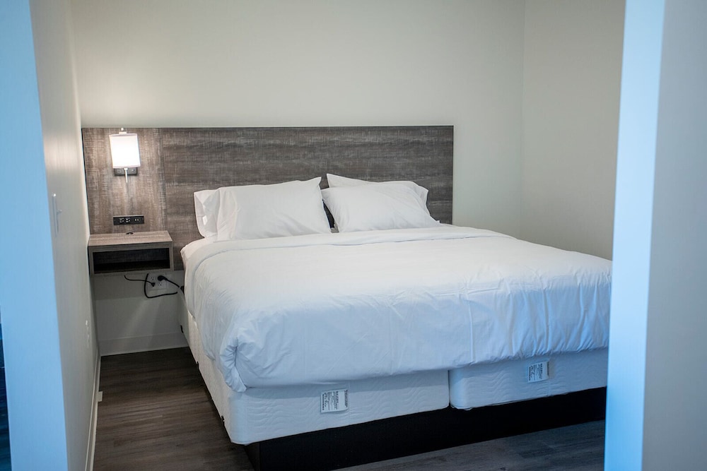 The Nest - photo 2