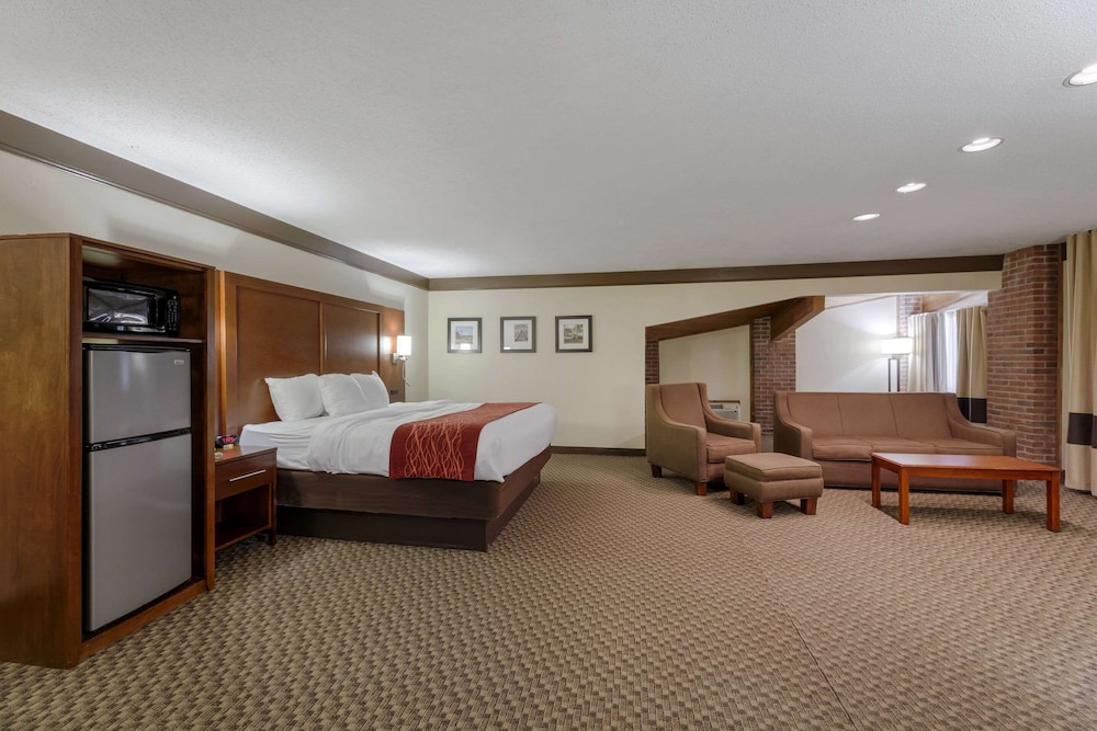 Comfort Inn Mount Vernon Downtown - photo 16