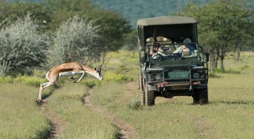 Ongava Lodge — Outjo — photo 4