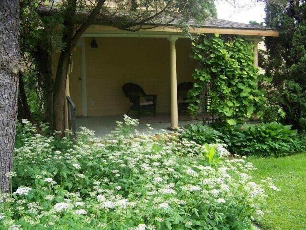 VanWinkle Inn - photo 35