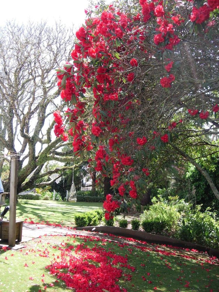 Timandra Motel in New Plymouth, New Zealand