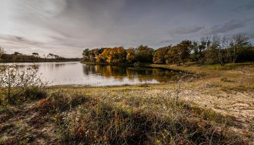 Natuurhuisje aan Duinrand — hotel in Soest