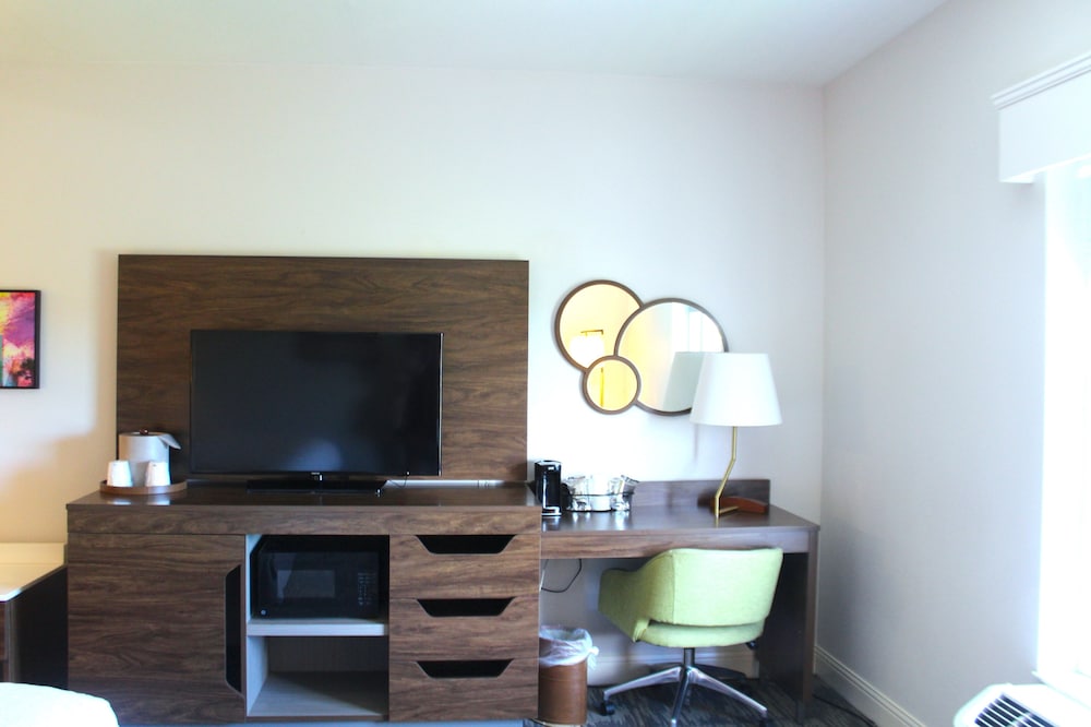 Hampton Inn & Suites Sarasota Bradenton Airport FL - photo 45