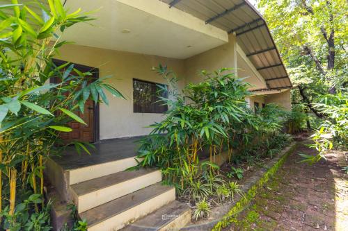 Tree Paradise Resort — hotel in Ankola