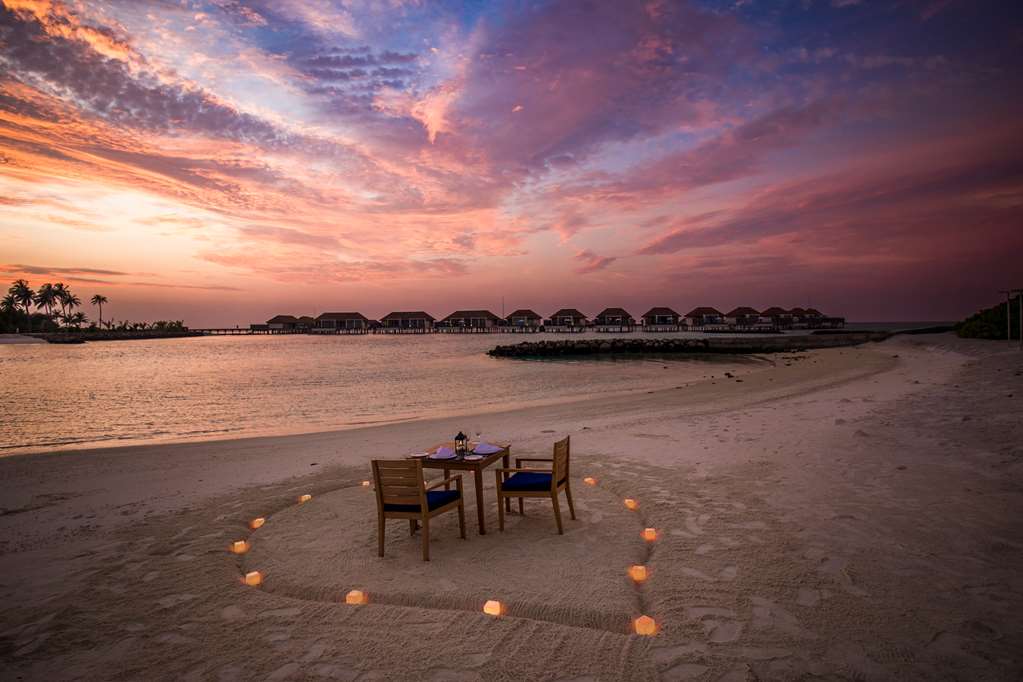 Dining by design golden hour