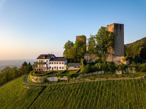 Burg Windeck S — Buhl