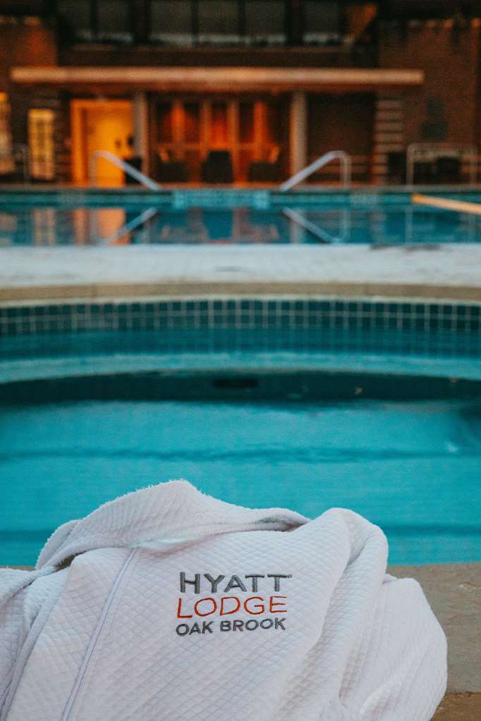 Hyatt Lodge Oak Brook Chicago - photo 55