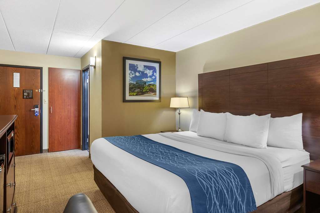 Comfort Inn Grand Rapids Airport - photo 24
