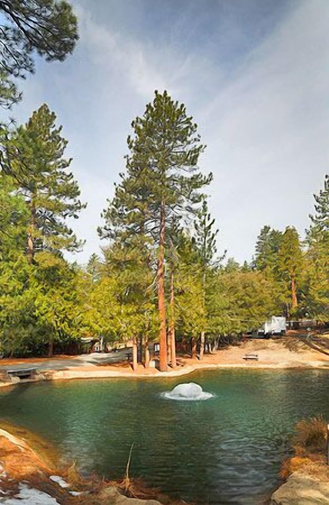Idyllwild RV Resort Caravan Park - photo 23