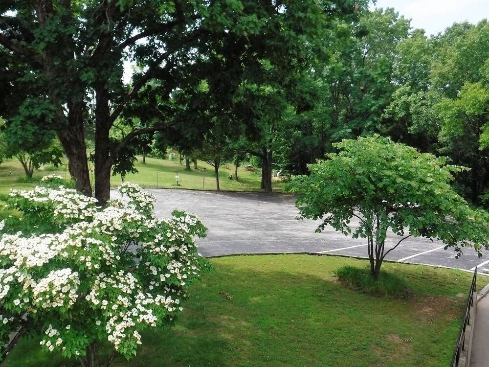 Colonial Mountain Inn - photo 51