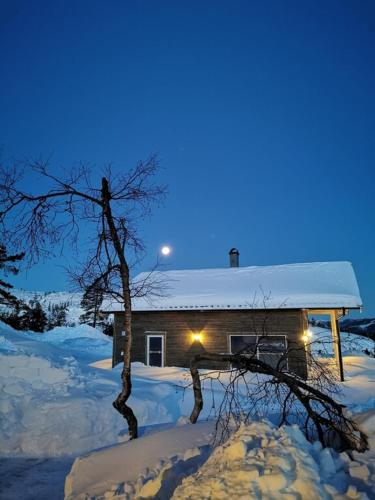 Fjellspurven — Unknown City — photo 3