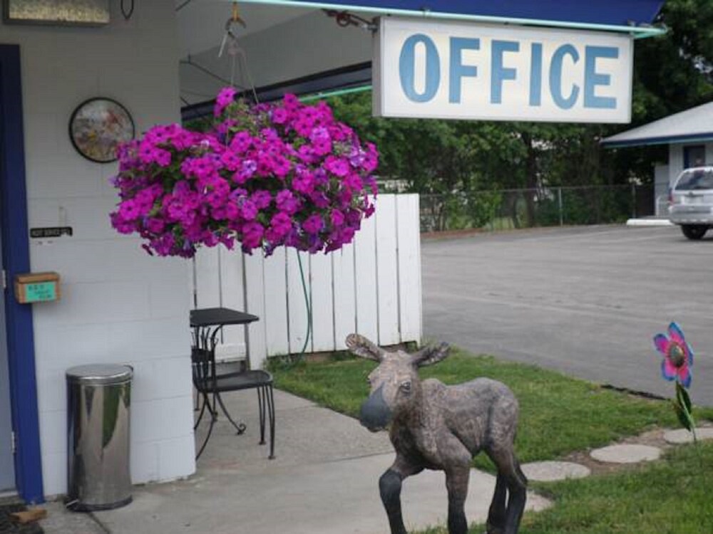 Sandman Motel - photo 14