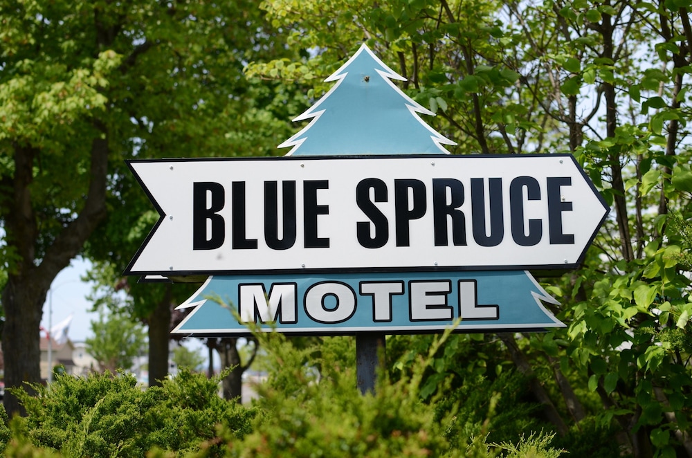 Ludington Blue Spruce Inn - photo 34
