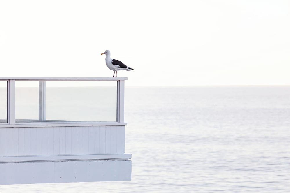 Pacific Edge Hotel - photo 124