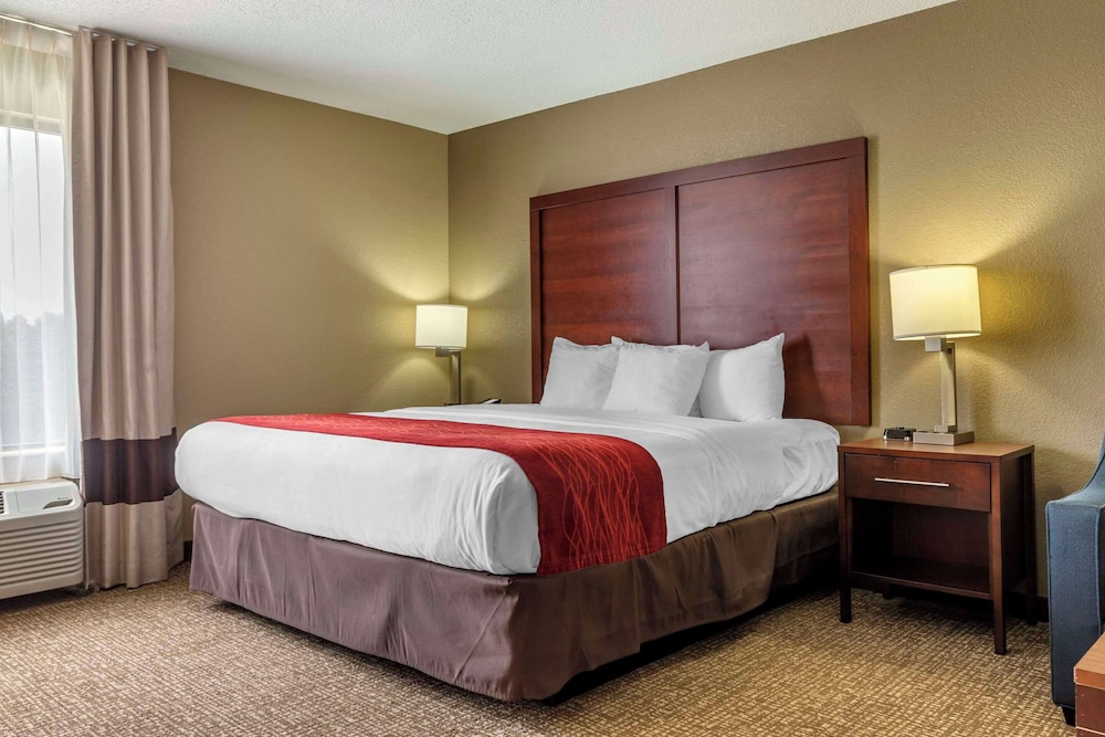 Comfort Inn & Suites Mocksville I 40 - photo 7