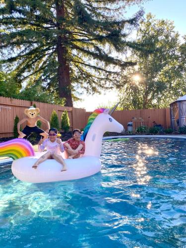 NEW cozy beautiful house with pool and hot tub — 4-Star Luxury Hotel in Fair Oaks, United States